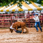 LE 15 Sat Slack 3176-