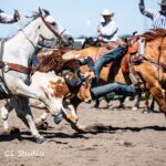 460805230_555733460457257_3888295626345313689_n (1)